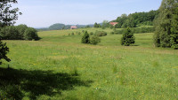 Louka LK